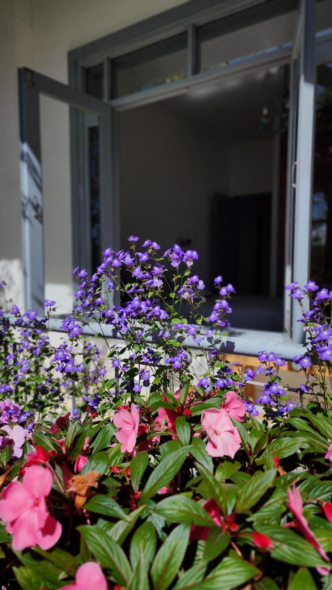 Tia Du Homestay Dalat Luaran gambar
